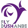 Fly Dushanbe image 1